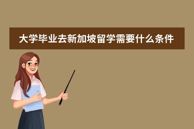 大学毕业去新加坡留学需要什么条件