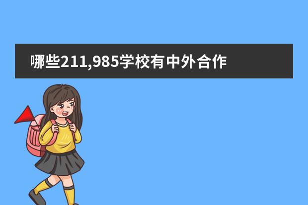 哪些211,985学校有中外合作办学
