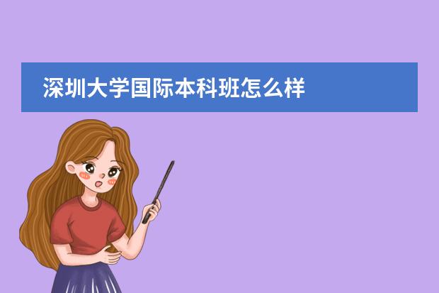 深圳大学国际本科班怎么样