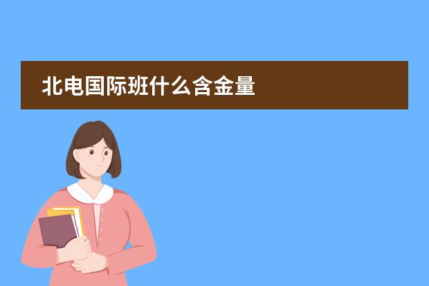 北电国际班什么含金量
