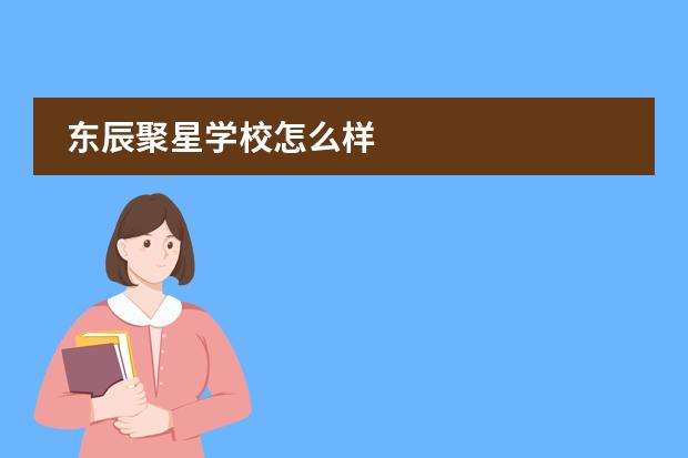 东辰聚星学校怎么样